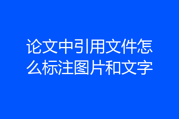 论文中引用文件怎么标注图片和文字