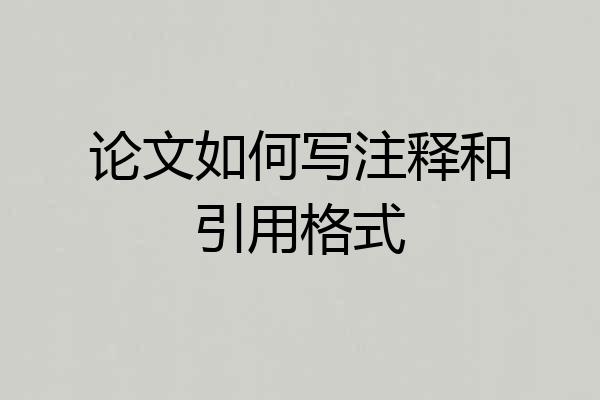 论文如何写注释和引用格式