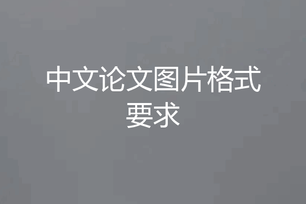 中文论文图片格式要求