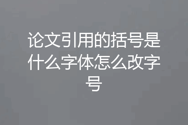 论文引用的括号是什么字体怎么改字号