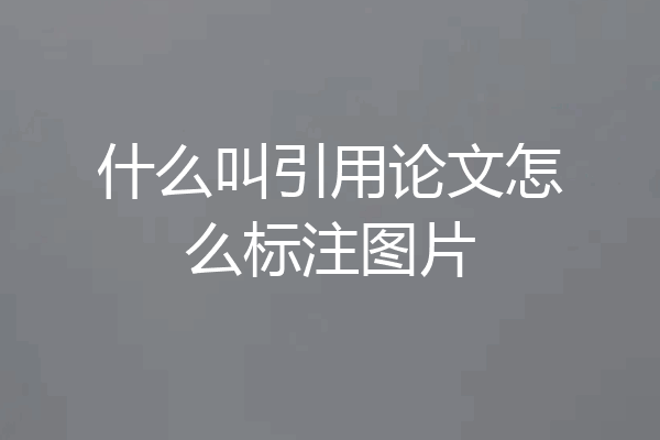 什么叫引用论文怎么标注图片