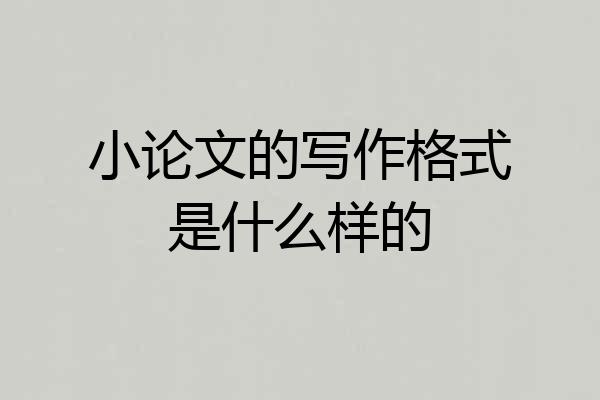 小论文的写作格式是什么样的