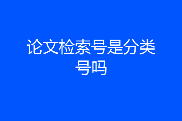 论文检索号是分类号吗
