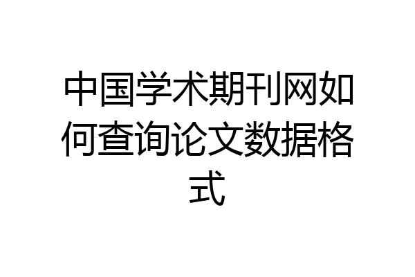 中国学术期刊网如何查询论文数据格式