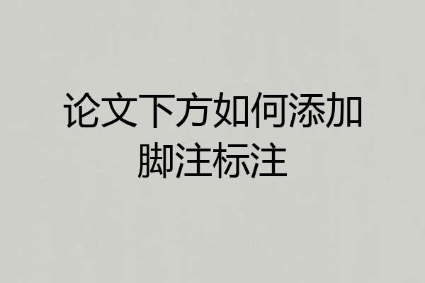 论文下方如何添加脚注标注