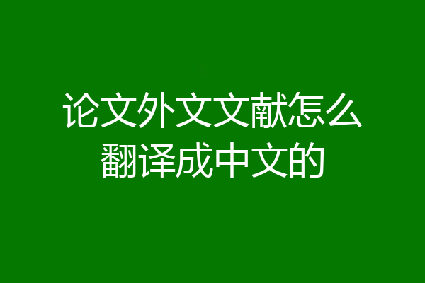 论文外文文献怎么翻译成中文的
