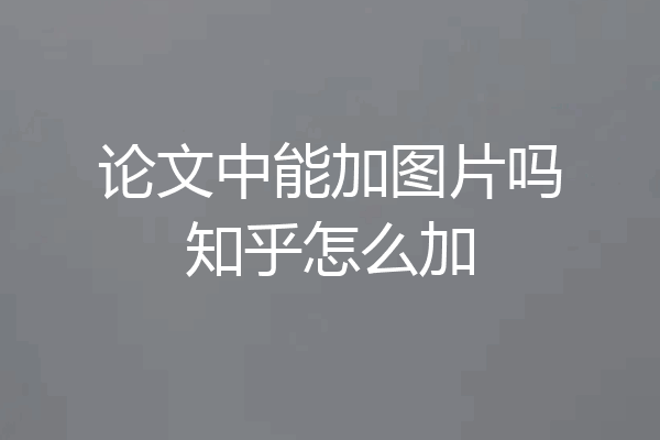 论文中能加图片吗知乎怎么加