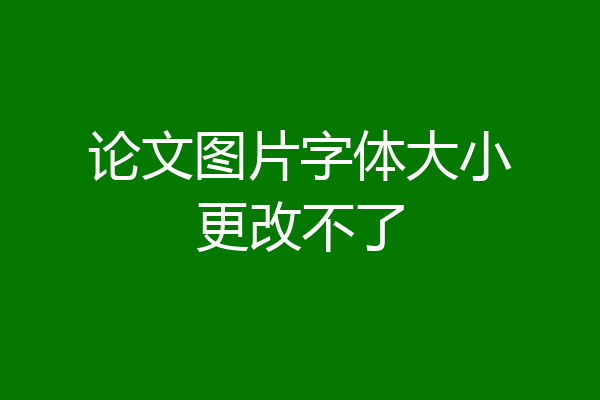 论文图片字体大小更改不了
