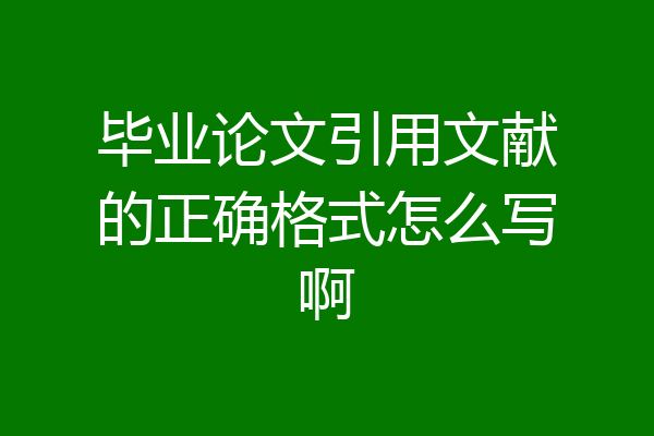 毕业论文引用文献的正确格式怎么写啊