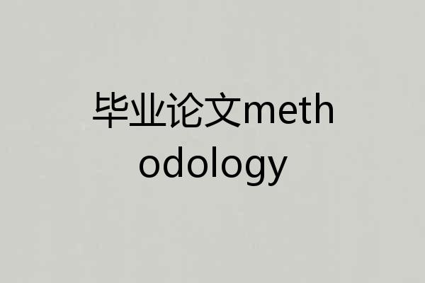 毕业论文methodology