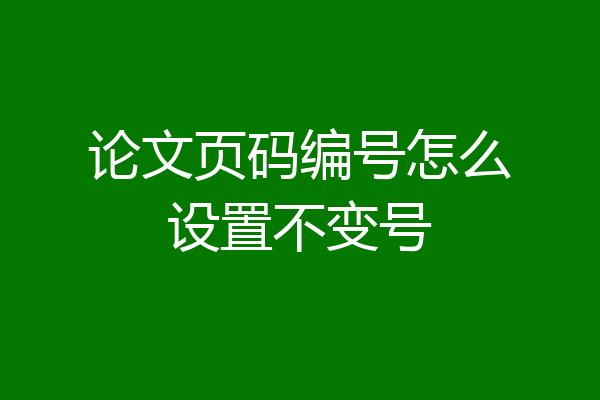 论文页码编号怎么设置不变号