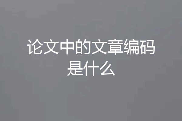 论文中的文章编码是什么