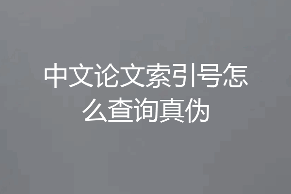 中文论文索引号怎么查询真伪