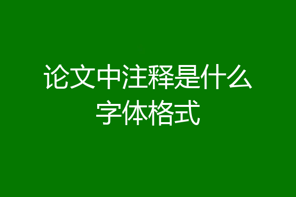 论文中注释是什么字体格式