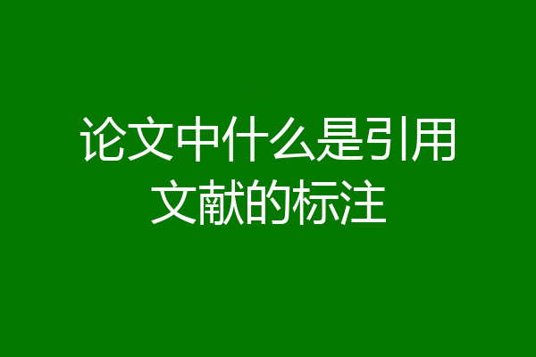 论文中什么是引用文献的标注