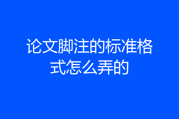 论文脚注的标准格式怎么弄的