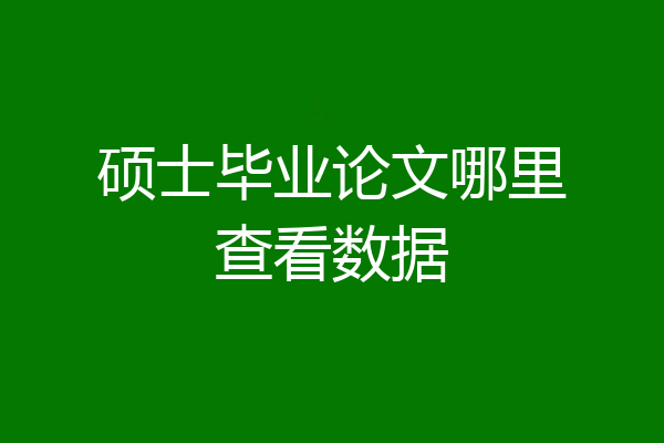 硕士毕业论文哪里查看数据