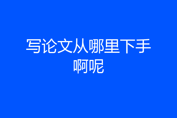 写论文从哪里下手啊呢