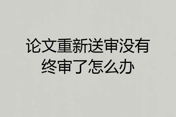 论文重新送审没有终审了怎么办