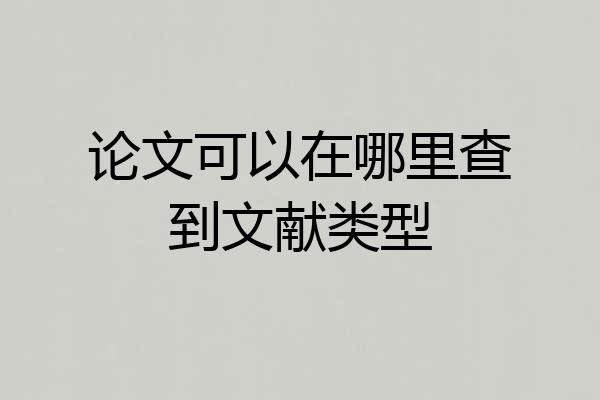 论文可以在哪里查到文献类型