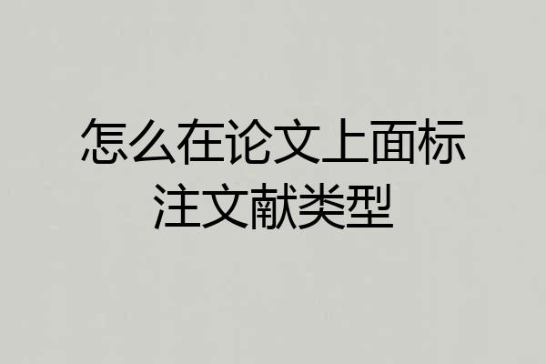 怎么在论文上面标注文献类型