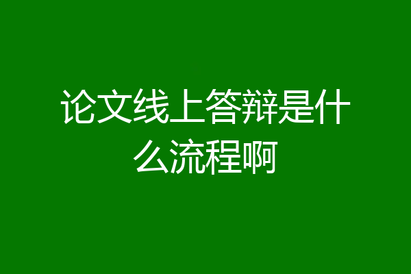 论文线上答辩是什么流程啊