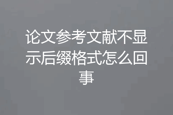 论文参考文献不显示后缀格式怎么回事
