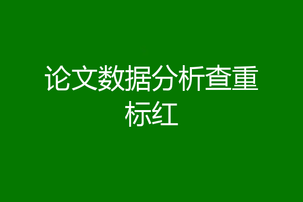 论文数据分析查重标红