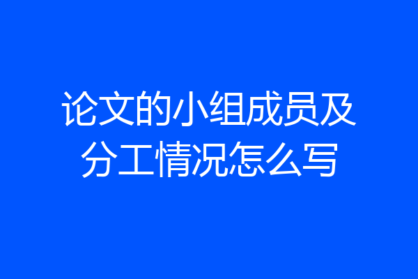 论文的小组成员及分工情况怎么写
