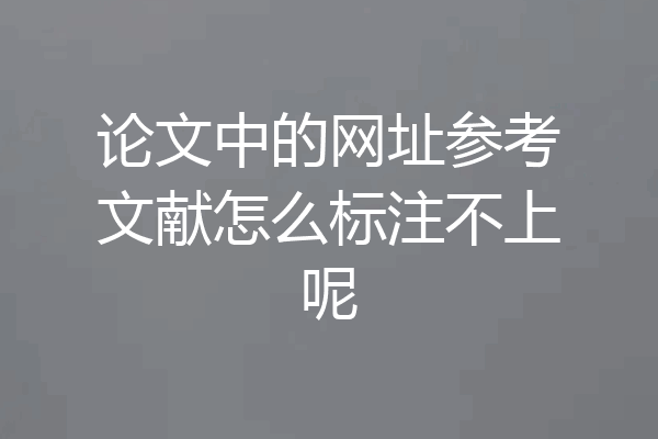 论文中的网址参考文献怎么标注不上呢