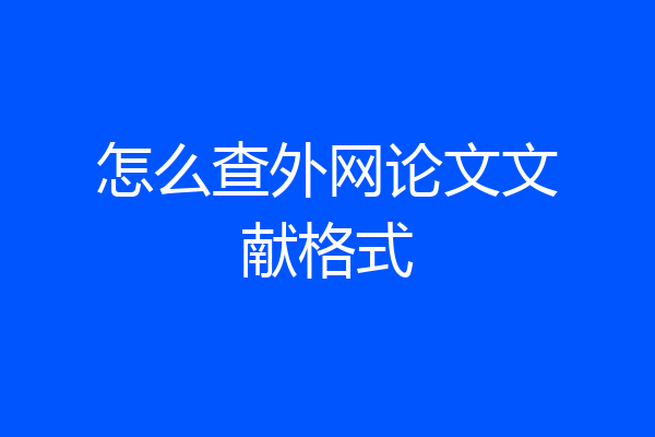 怎么查外网论文文献格式
