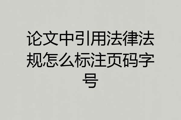 论文中引用法律法规怎么标注页码字号