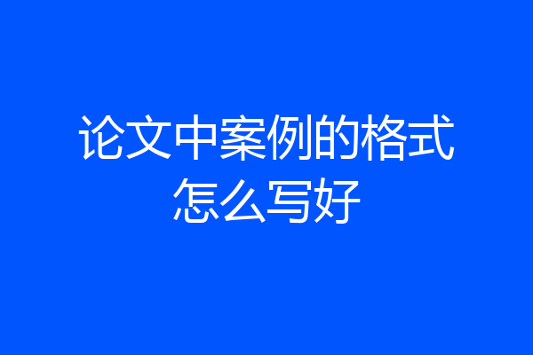 论文中案例的格式怎么写好