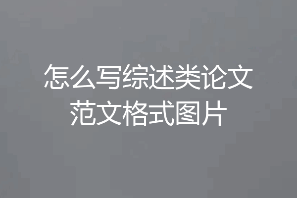 怎么写综述类论文范文格式图片