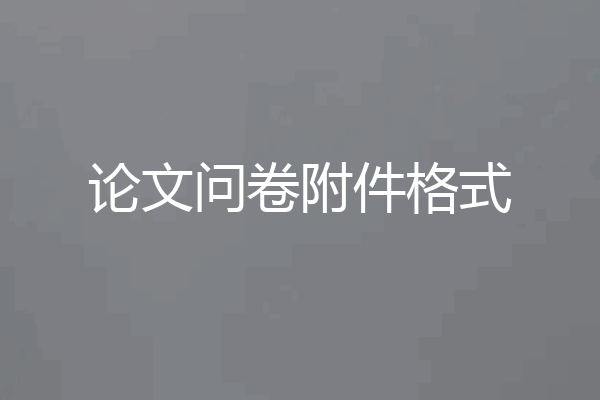 论文问卷附件格式