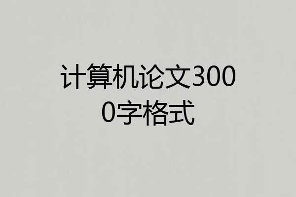 计算机论文3000字格式