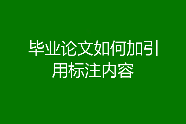 毕业论文如何加引用标注内容