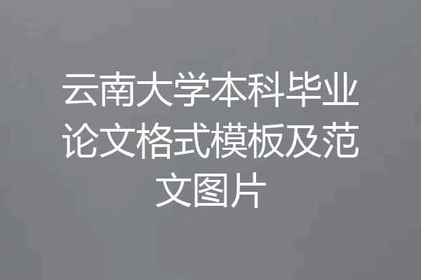 云南大学本科毕业论文格式模板及范文图片