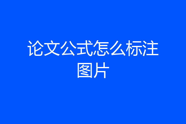 论文公式怎么标注图片
