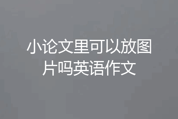 小论文里可以放图片吗英语作文