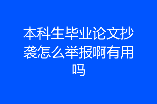 本科生毕业论文抄袭怎么举报啊有用吗