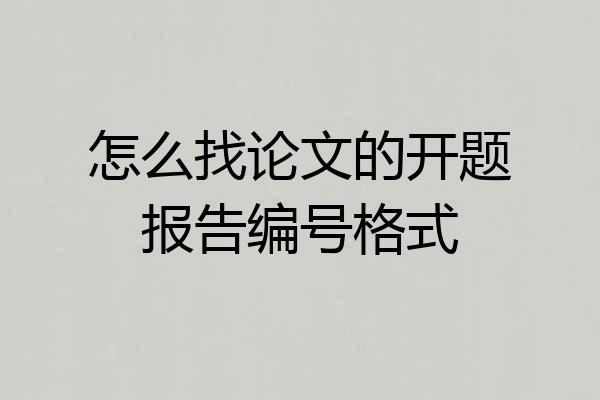 怎么找论文的开题报告编号格式