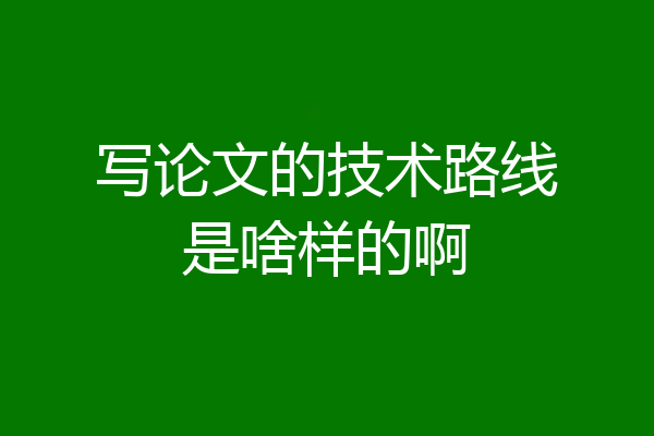 写论文的技术路线是啥样的啊