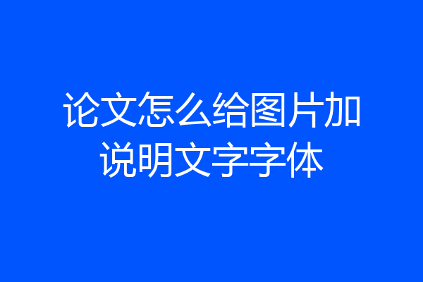 论文怎么给图片加说明文字字体