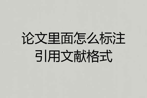 论文里面怎么标注引用文献格式