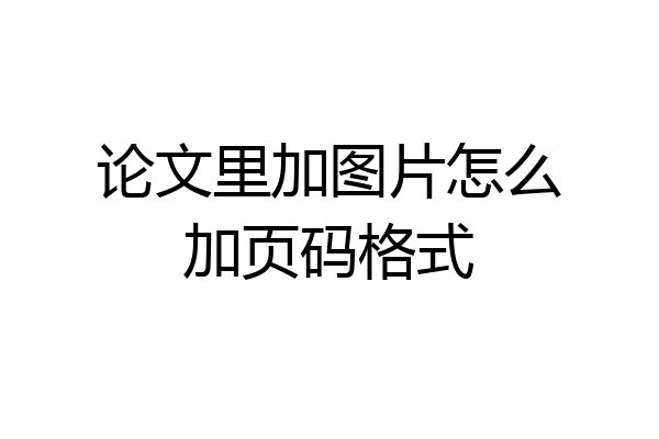 论文里加图片怎么加页码格式