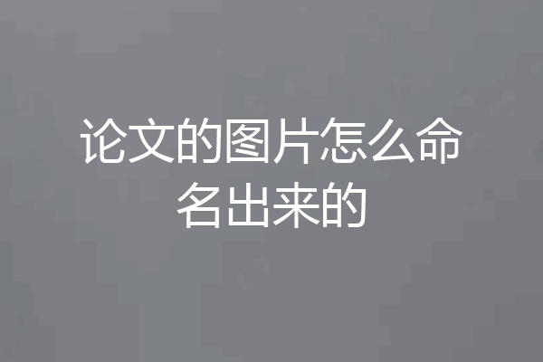 论文的图片怎么命名出来的