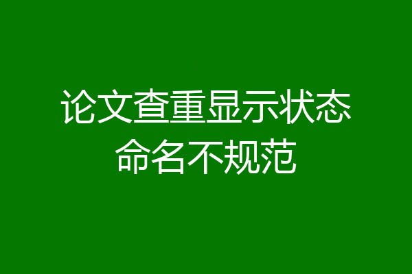 论文查重显示状态命名不规范