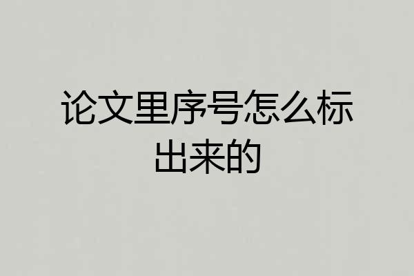 论文里序号怎么标出来的