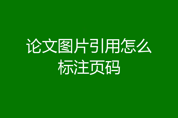 论文图片引用怎么标注页码